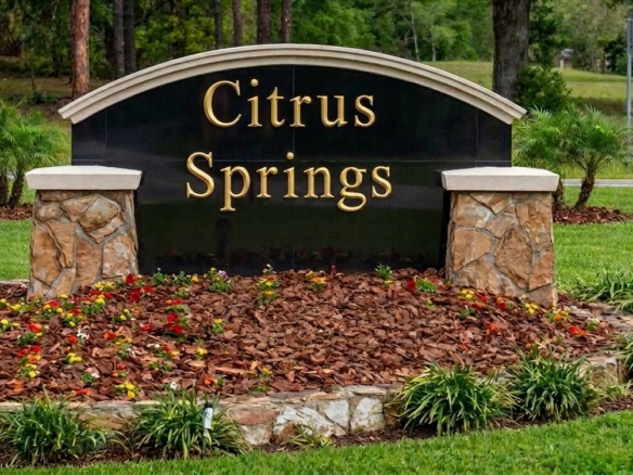 Citrus County Spot Lots