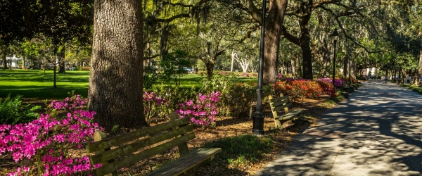 Parks and Recs - living in ocala